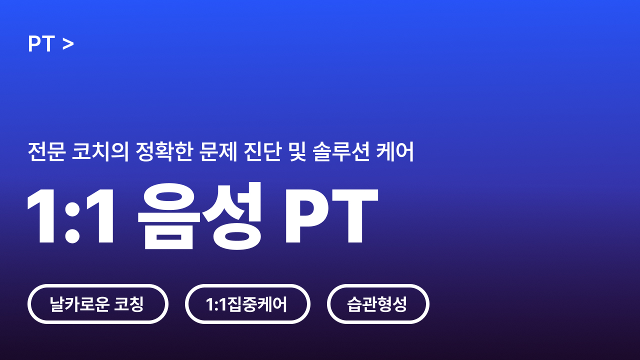 1:1 음성 PT (4주)