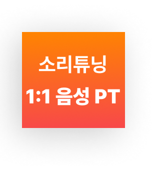 1:1 음성 PT (4주)
