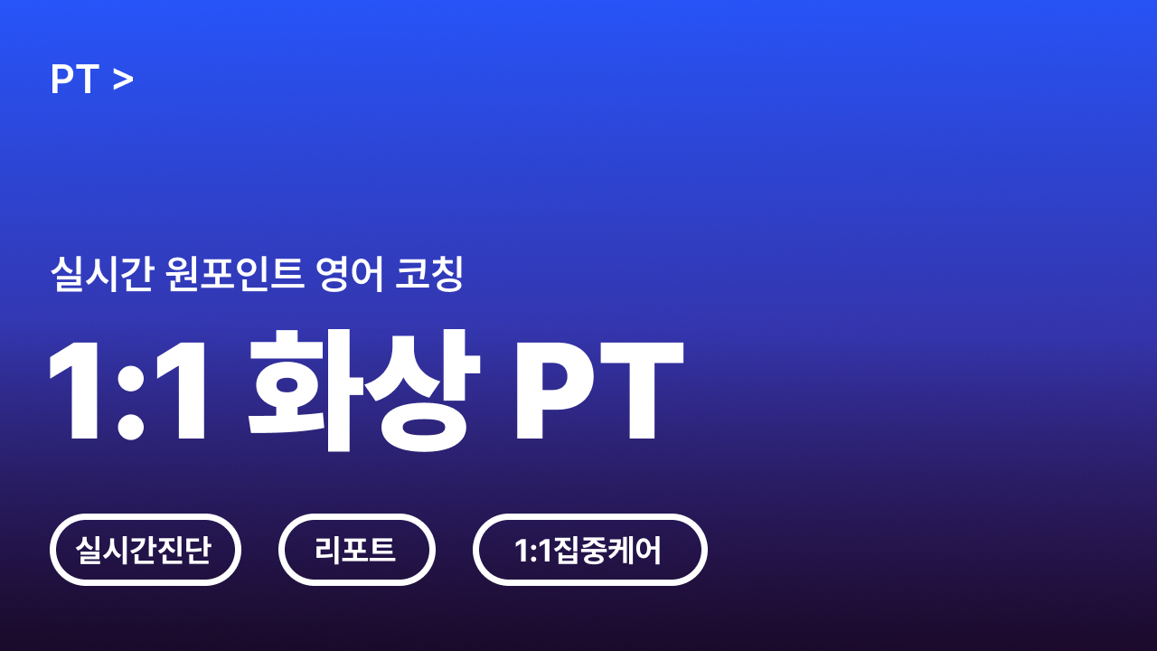 1:1 화상 PT (4회)
