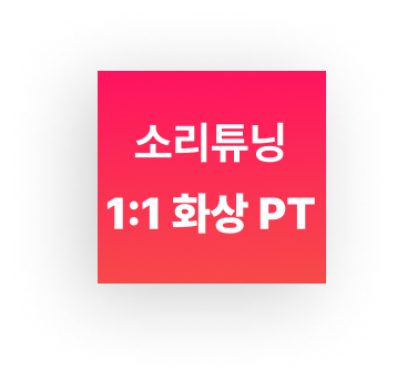 소리블록 1:1 화상 PT (4회)